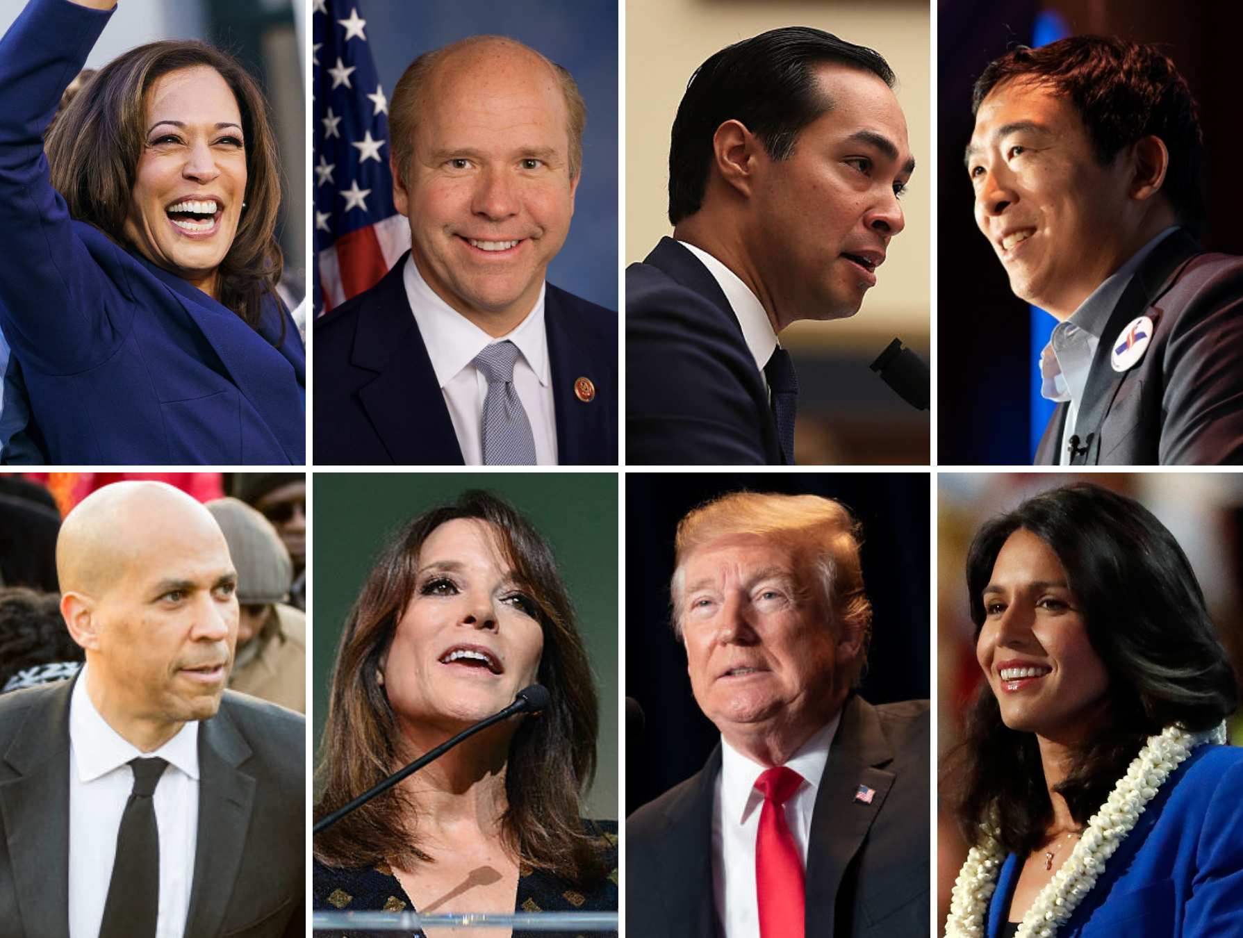 2020 presidential election: Candidates who are running