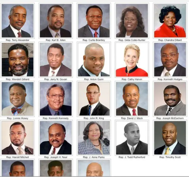 FYI, Legislative Black Caucus DID have a white member ...