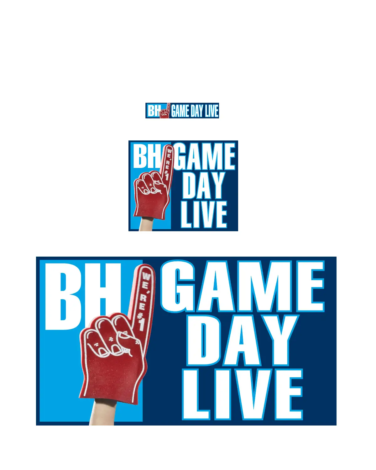 Game Day Live: Patriots vs. Panthers  Boston Herald