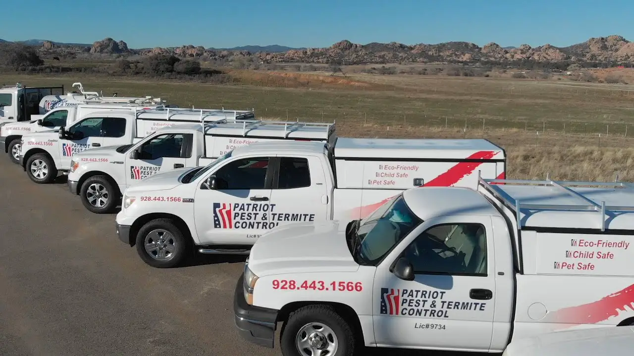 Patriot Pest &  Termite Control in Prescott, AZ