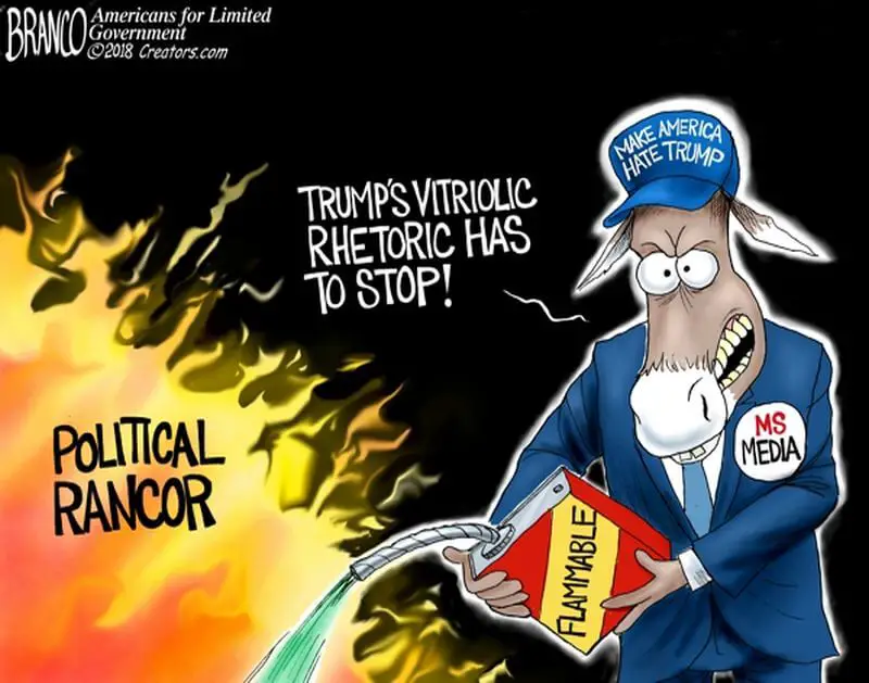 Savage Cartoon Shows What We Can Expect If Democrats Take ...