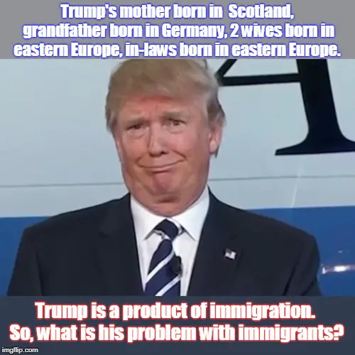 Trump is a product of immigration